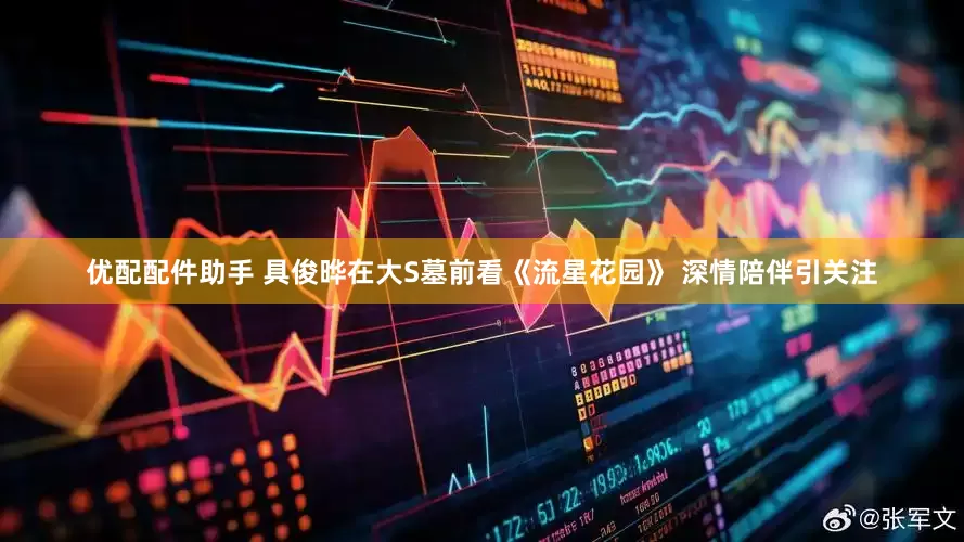 优配配件助手 具俊晔在大S墓前看《流星花园》 深情陪伴引关注