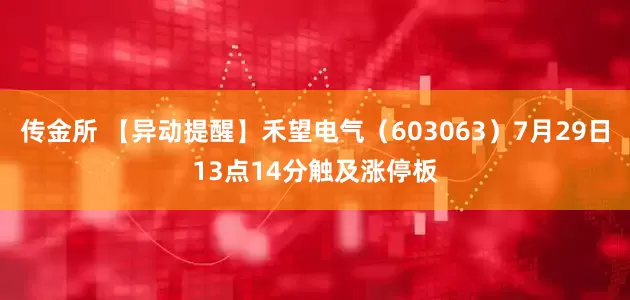 传金所 【异动提醒】禾望电气（603063）7月29日13点14分触及涨停板