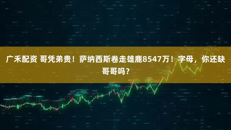 广禾配资 哥凭弟贵！萨纳西斯卷走雄鹿8547万！字母，你还缺哥哥吗？