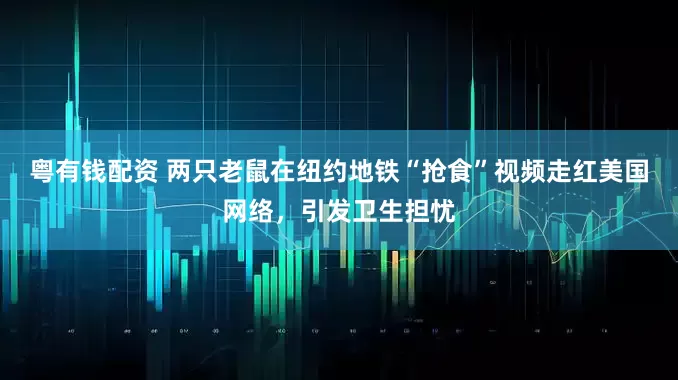 粤有钱配资 两只老鼠在纽约地铁“抢食”视频走红美国网络，引发卫生担忧